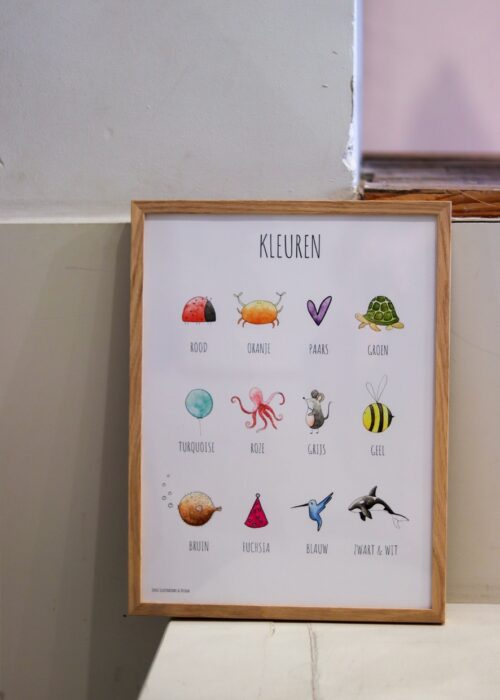 3. productfoto kleurenposter