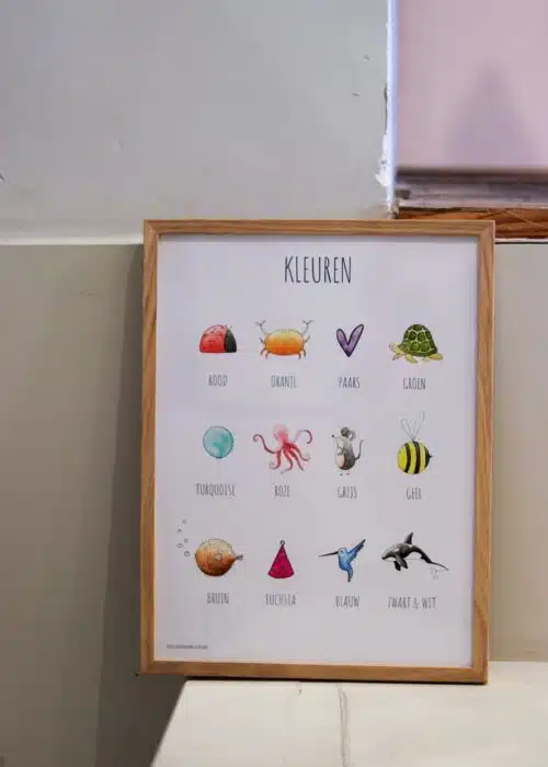 3. productfoto kleurenposter