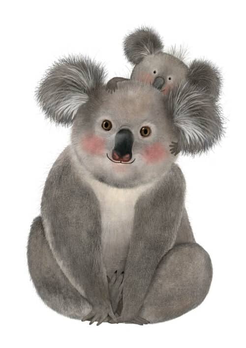 Drukbestand 11049 Koalas A6 Getekenddoorzusje