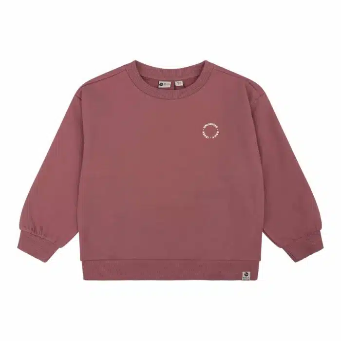 Daily7 Sweater Oversized Backprint Barn Bordeaux