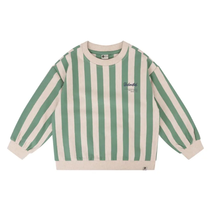 Daily7 Sweater Oversized Stripe Slate Green