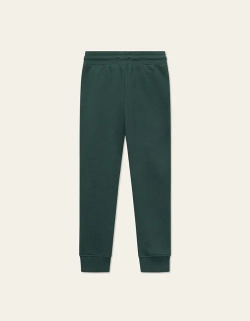 Dexter_Sweatpants_Kids-Sweatpants-LDK530008-546546-Pine_Green-1