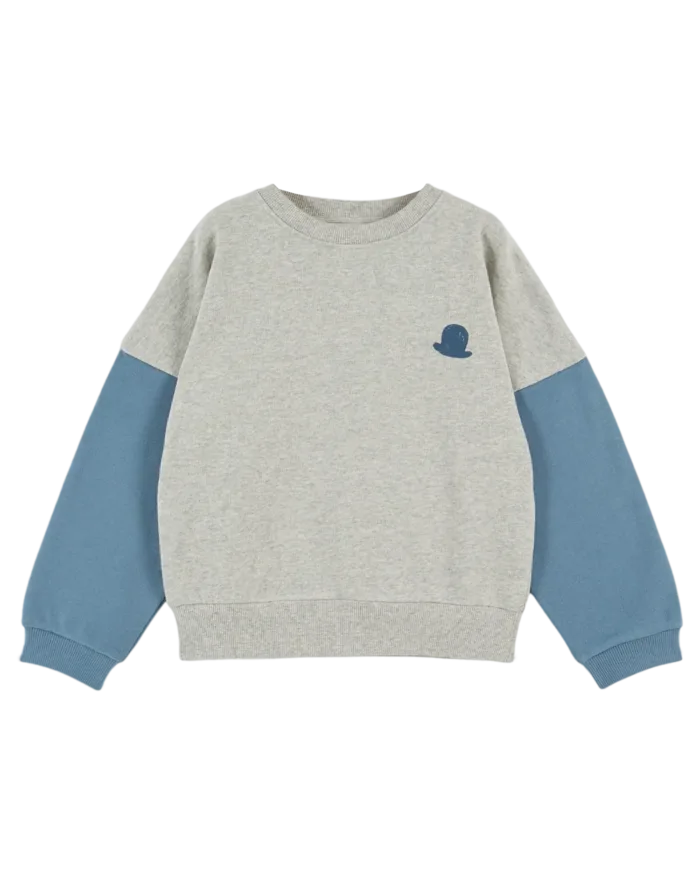 Emile et Ida Sweater tweekleurig GrijsBlauw AA099A