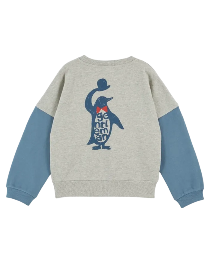 Emile et Ida Sweater tweekleurig GrijsBlauw AA099A3