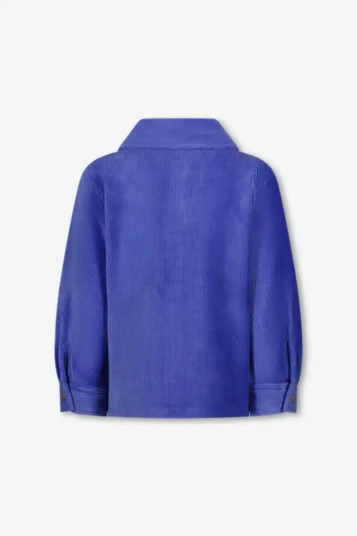 The New Chapter Jagger blouse Blauw3