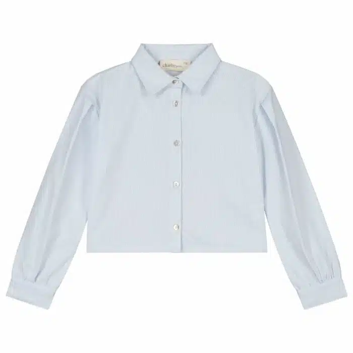 Gaby Blouse-Stripes Light Blue White_Front