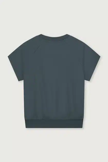 TOP145_-_200_-_Short_Sleeve_Sweater_-_Blue_Grey_Back