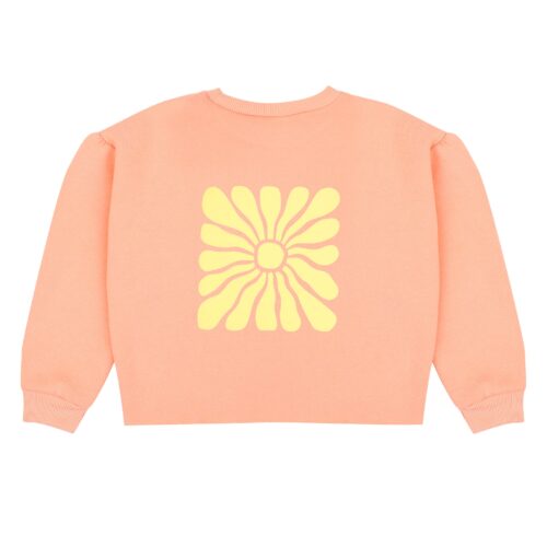 Hailey sweater - peach back