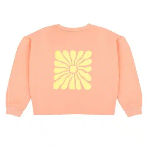 Hailey sweater - peach back