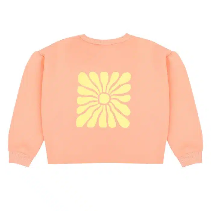 Hailey sweater - peach back