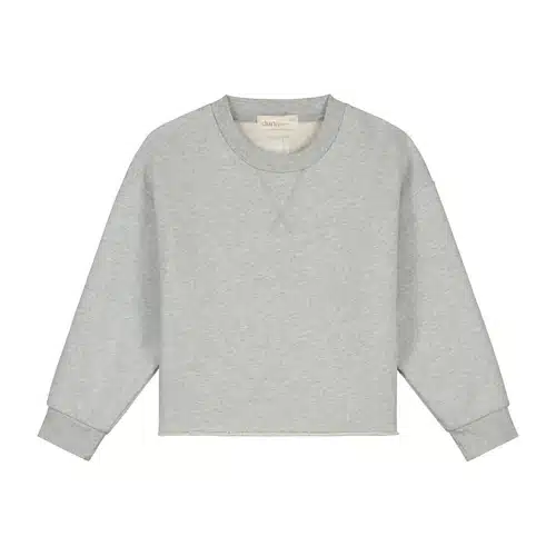 Lux_Sweater_with_Charlie_grey_melange_Front_09e42b95-93ef-46c0-886d-99292304e819