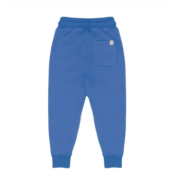 Sammy jogger Cobalt blue 2 - kopie