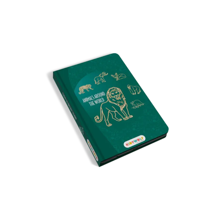 KIDYDRAWMINI-AAW-01-1800