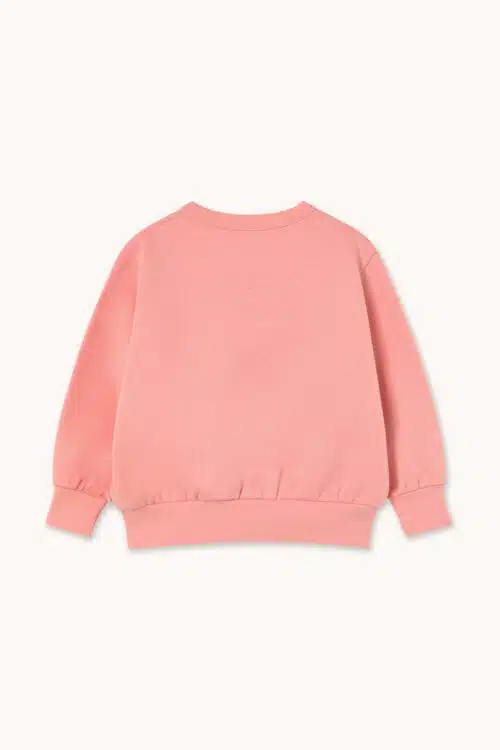 AW25-293-P17_2