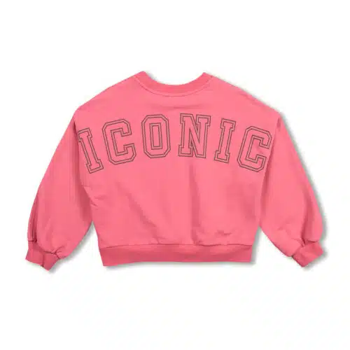 AW25-105 back