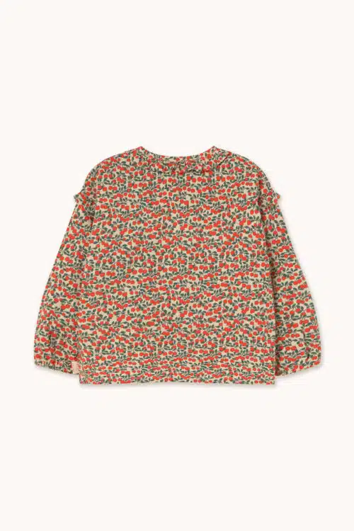 AW25-397-R01_2