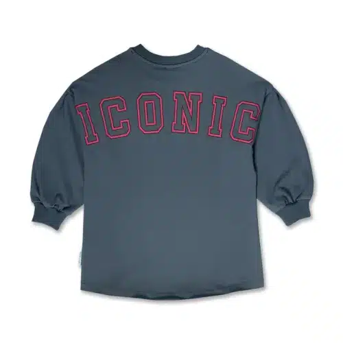 AW25-804back