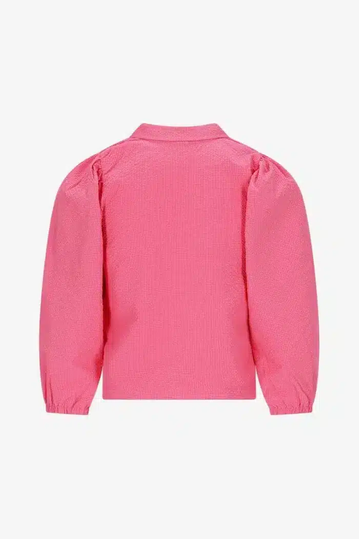 nave-blouse-roze-the-new-chapter-store-3884216