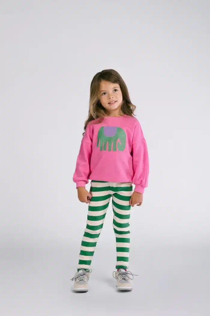 zane-legging-strepen-groenwit-the-new-chapter-store-5238248