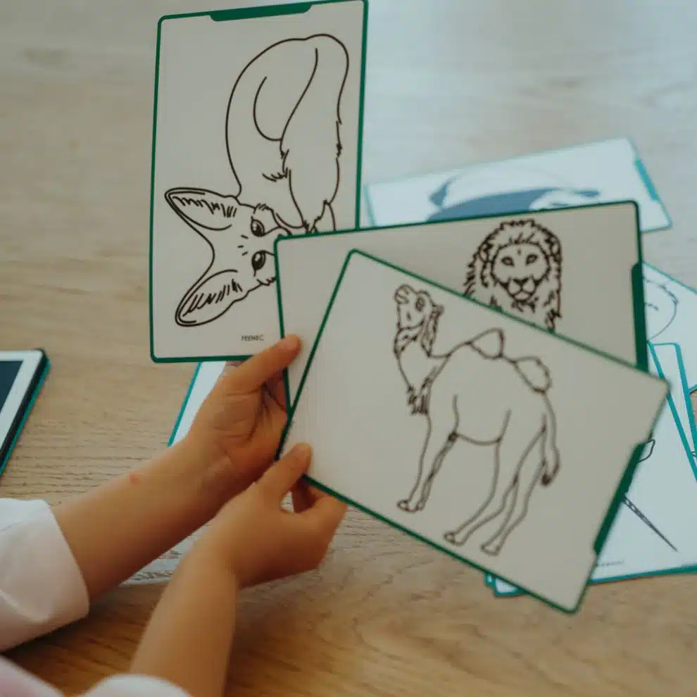 12_0f571d87-bf70-4df0-ae69-09a9dd4e881f