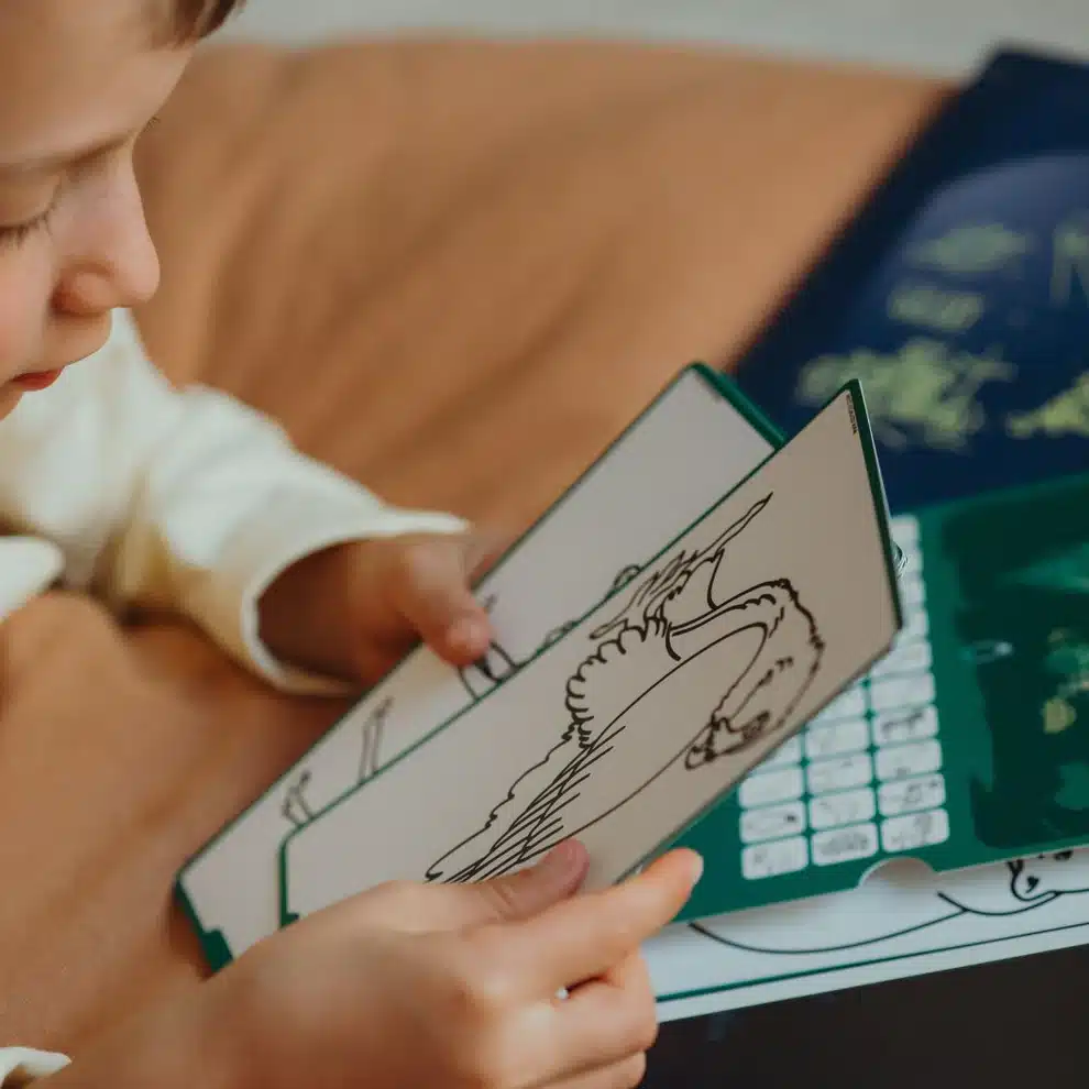 13_cf030e84-f00f-4a5f-b2e3-beed3529834f