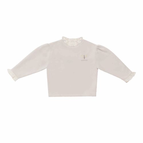 4110601-00001-1619-1