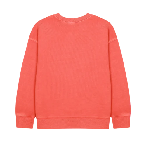 elephant-pigment-sweatshirt-by-jelly-mallow-petite-belle-6150606