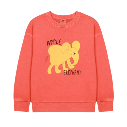elephant-pigment-sweatshirt-by-jelly-mallow-petite-belle-7613990