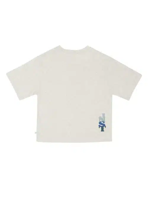 jenest-jenest-mase-t-shirt-grey-melange (1)