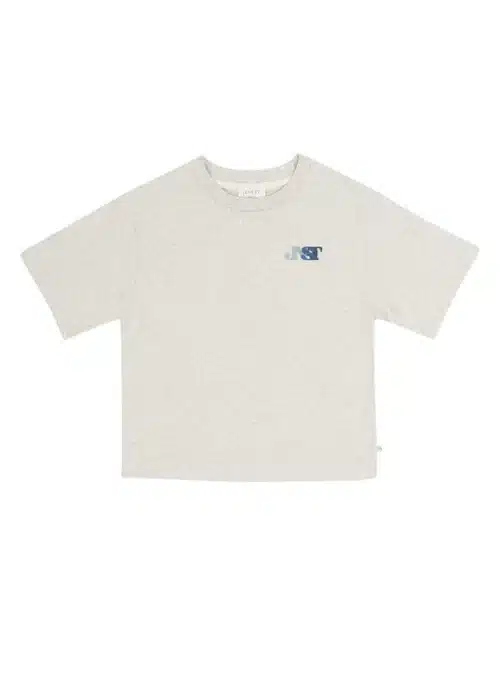 jenest-jenest-mase-t-shirt-grey-melange