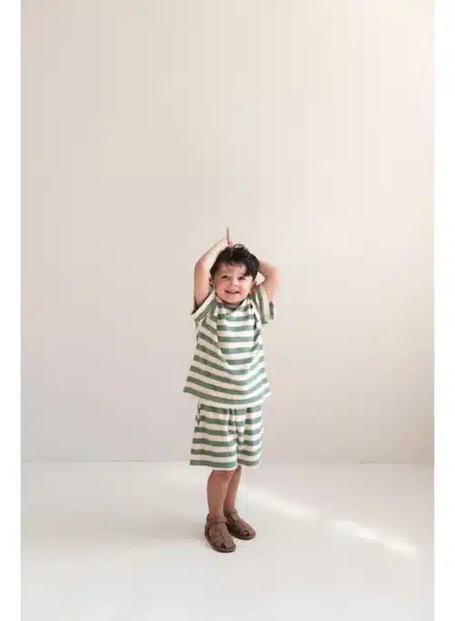 jenest-jenest-to-t-shirt-sage-green-off-white-stri (1)
