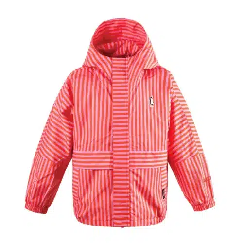GOSOAKY_SS26_THE_LION_CANDY_STRIPES_1_fc5e4cc6-719f-427e-a545-f500c994ce31