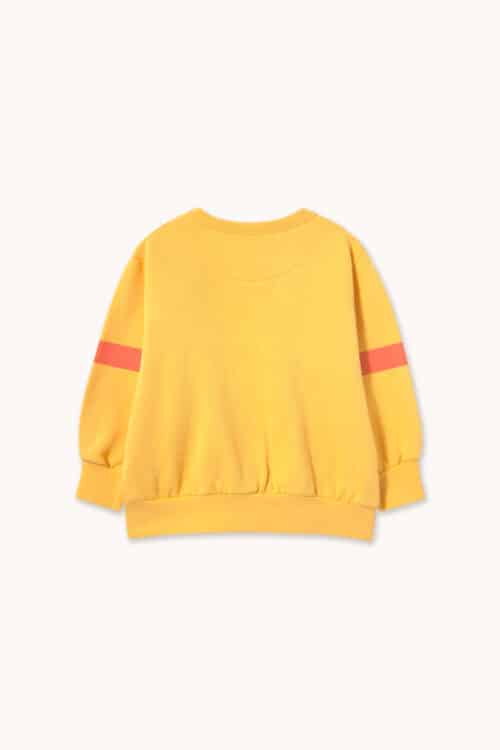 AW26-445-M03_2