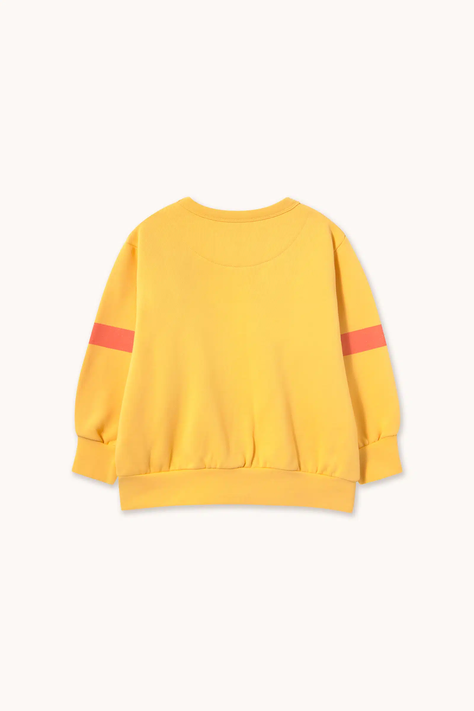 AW26-445-M03_2