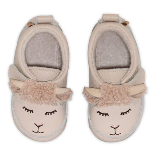 lamb2